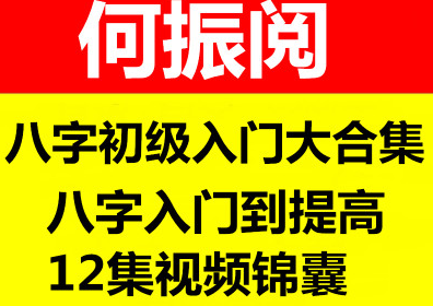 何振阅八字初级入门到提高12集